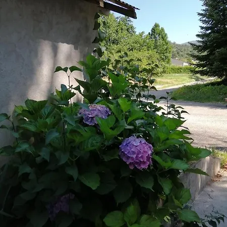 location vacances Appartement